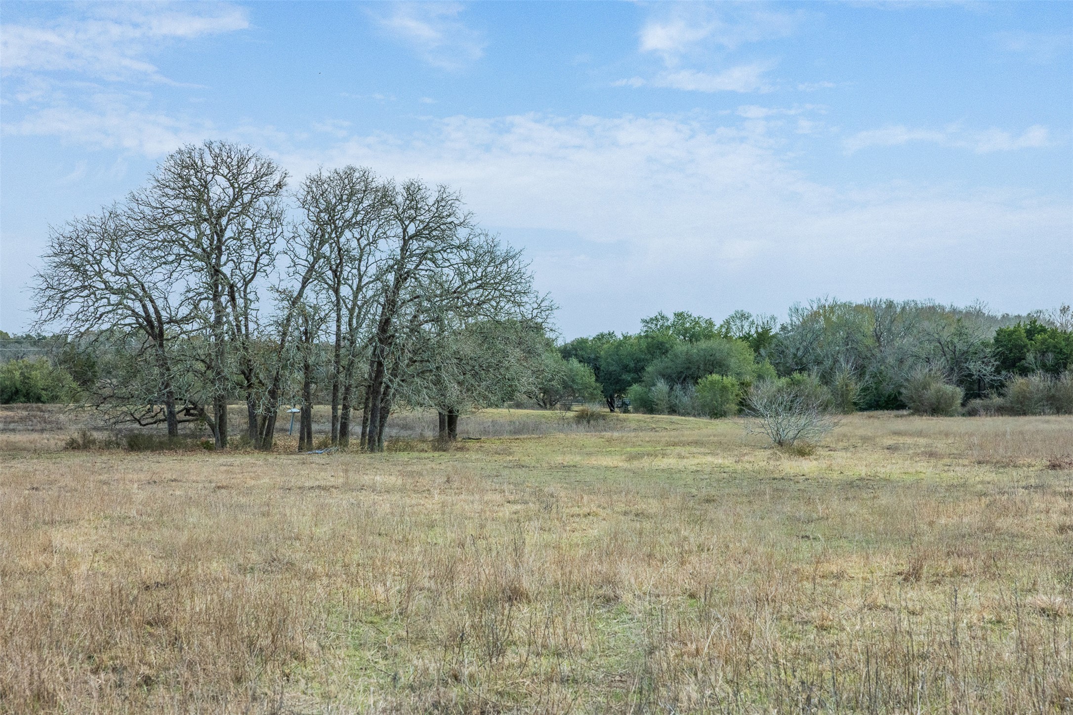 1310 North Nassau Road Round Top, TX 78954 - Photo 5 of 25
