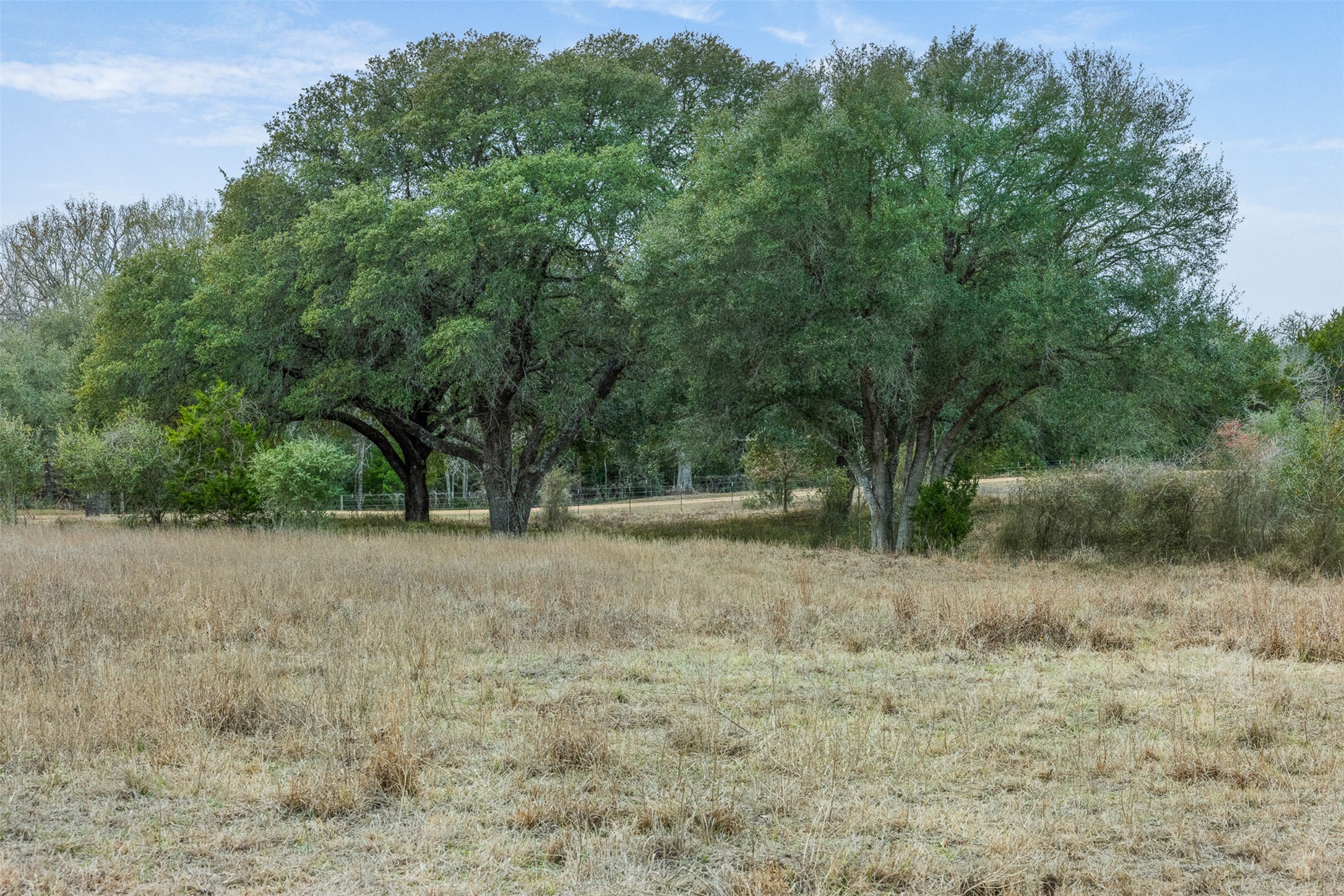 1310 North Nassau Road Round Top, TX 78954 - Photo 6 of 25
