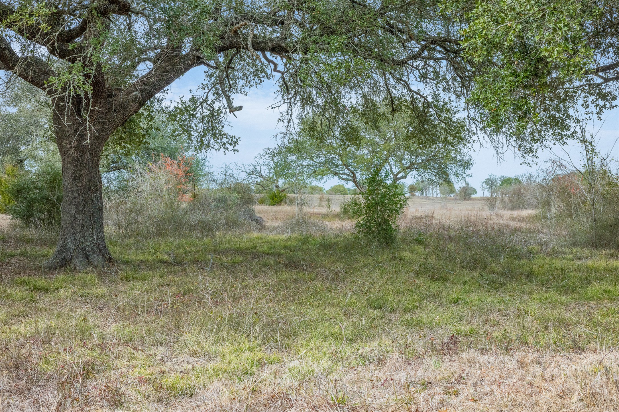 1310 North Nassau Road Round Top, TX 78954 - Photo 7 of 25