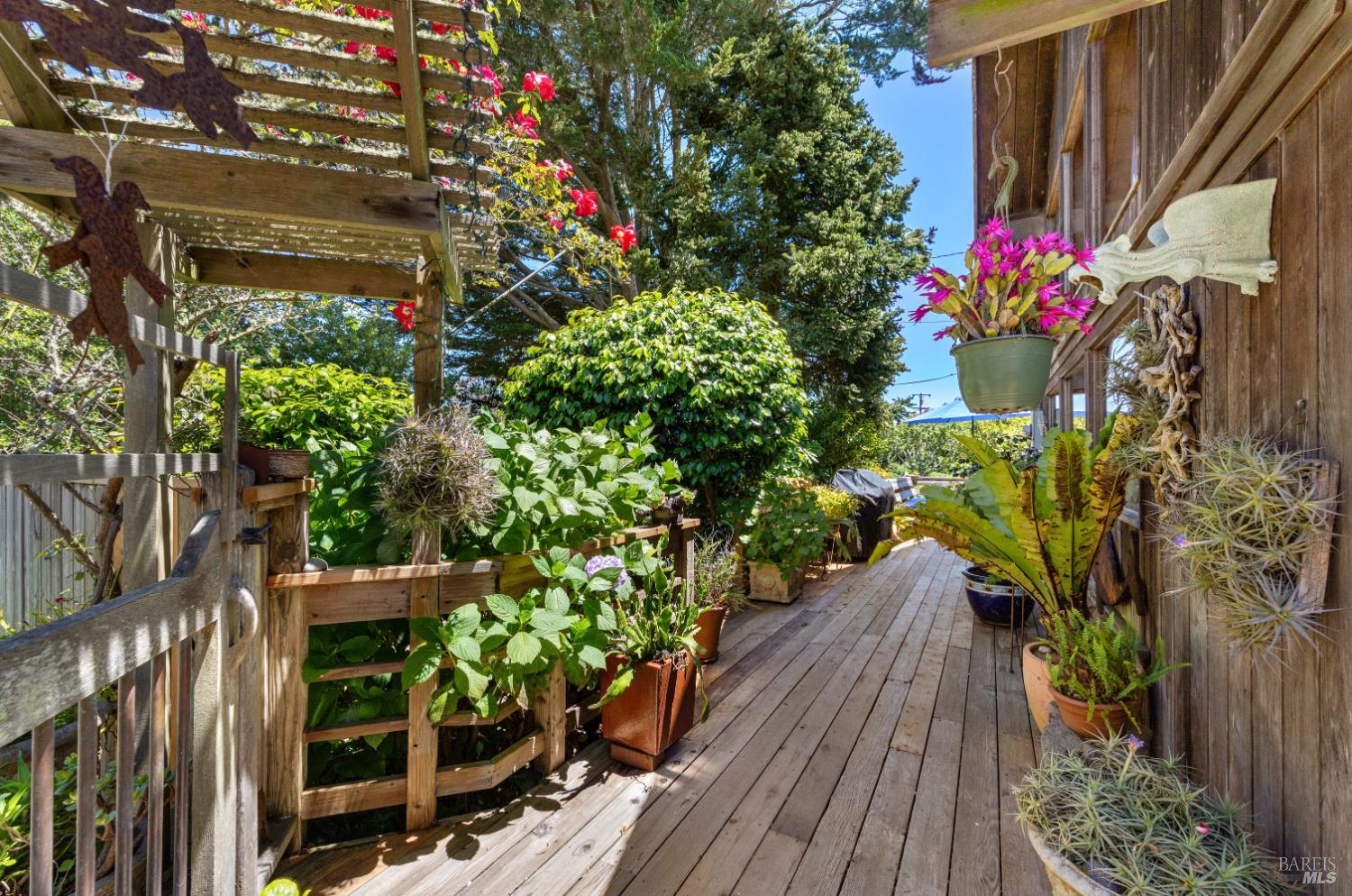 385 Cedar Road Bolinas, CA 94924 - Photo 7 of 70