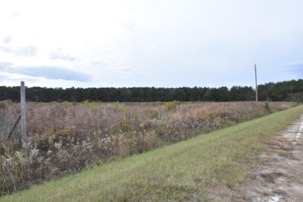 Lot 21 Bullrun Road Bishopville, SC 29010 - Photo 5 of 14 Gallery Image 5