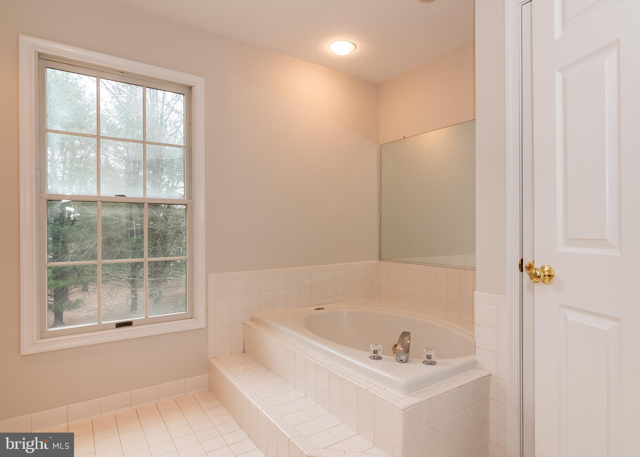 8207 Spring Branch Court Laurel, MD 20723 - Photo 25 of 40 Master bath with jetted tub
