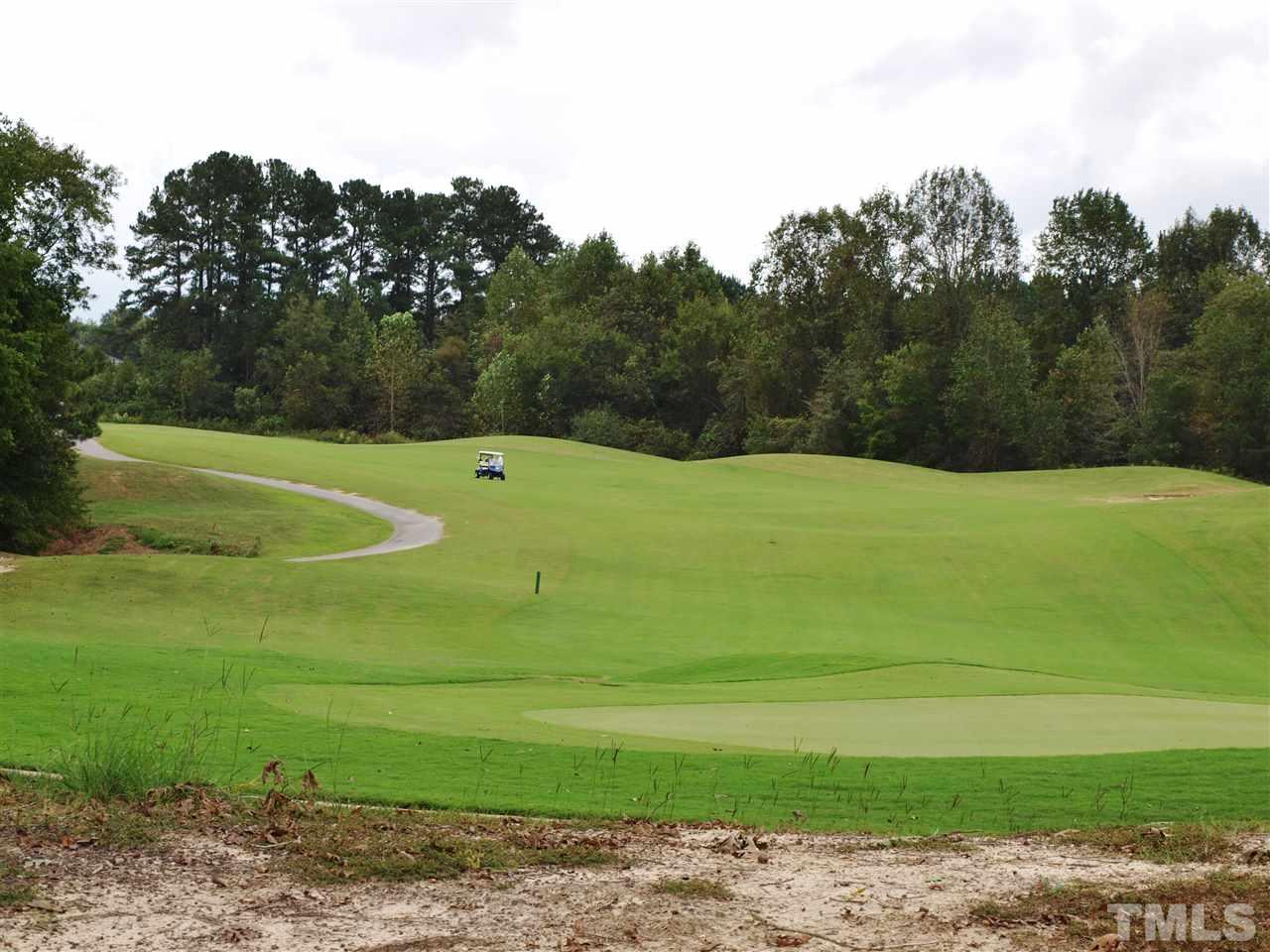 3317 La Costa Way Raleigh, NC 27610 - Photo 23 of 25 a view of a tennis ground with a large trees