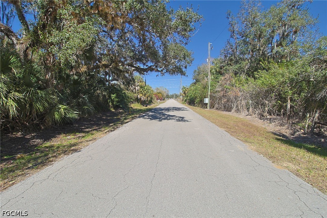 2975 Styles Road Alva, FL 33920 - Photo 4 of 5