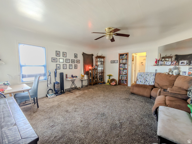 625 South 200 East Springville, UT 84663 - Photo 5 of 53