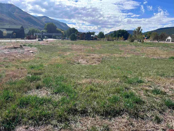 a view of a yard
