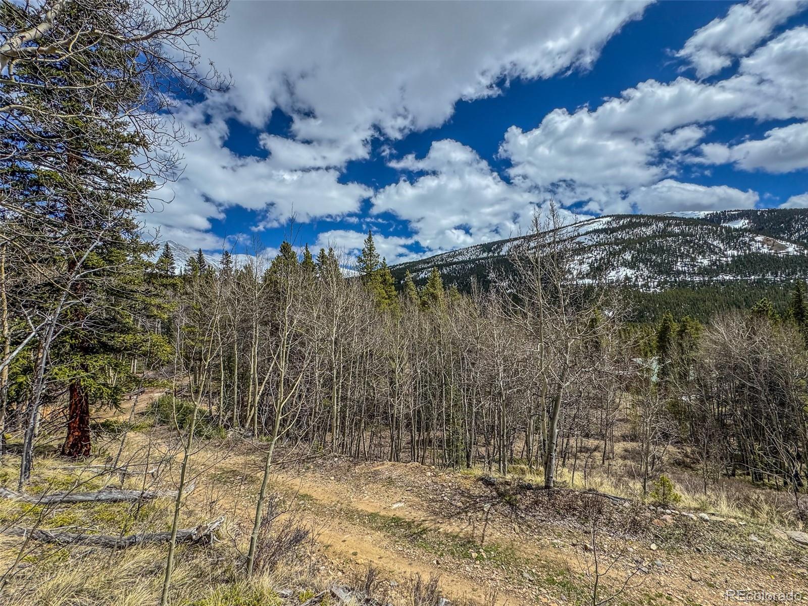 Buckeye Gulch Road Leadville, CO 80461 - Photo 4 of 9 a view of a yard with a tree
