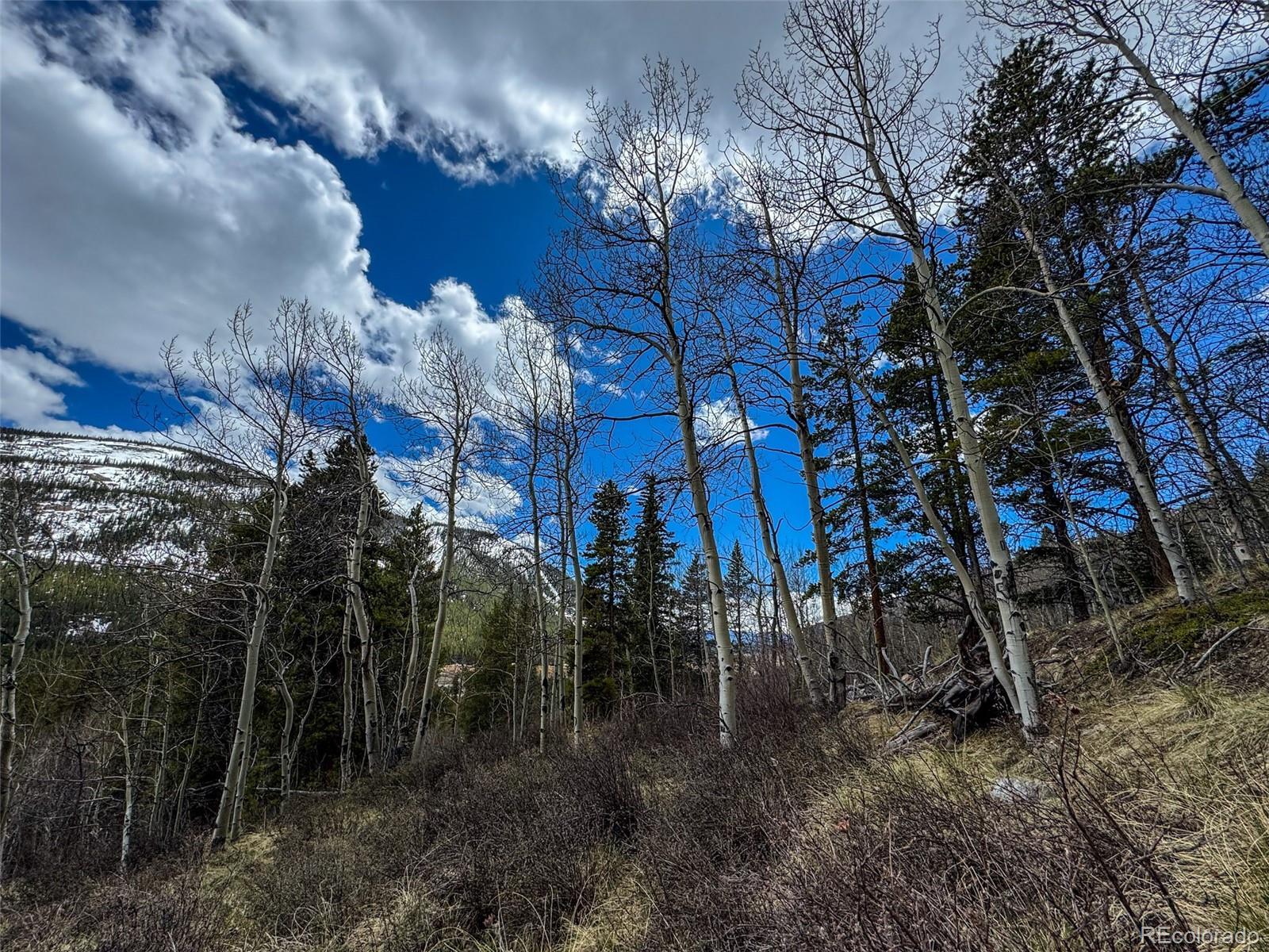 Buckeye Gulch Road Leadville, CO 80461 - Photo 5 of 9 a view of a house with a yard