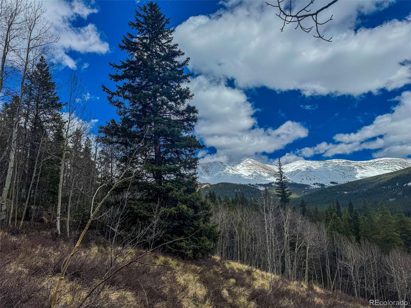 Buckeye Gulch Road Leadville, CO 80461 - Photo 6 of 9 a backyard of a house with lots of green space