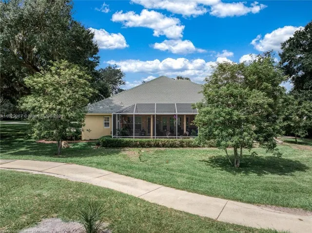 a view of a park with large trees