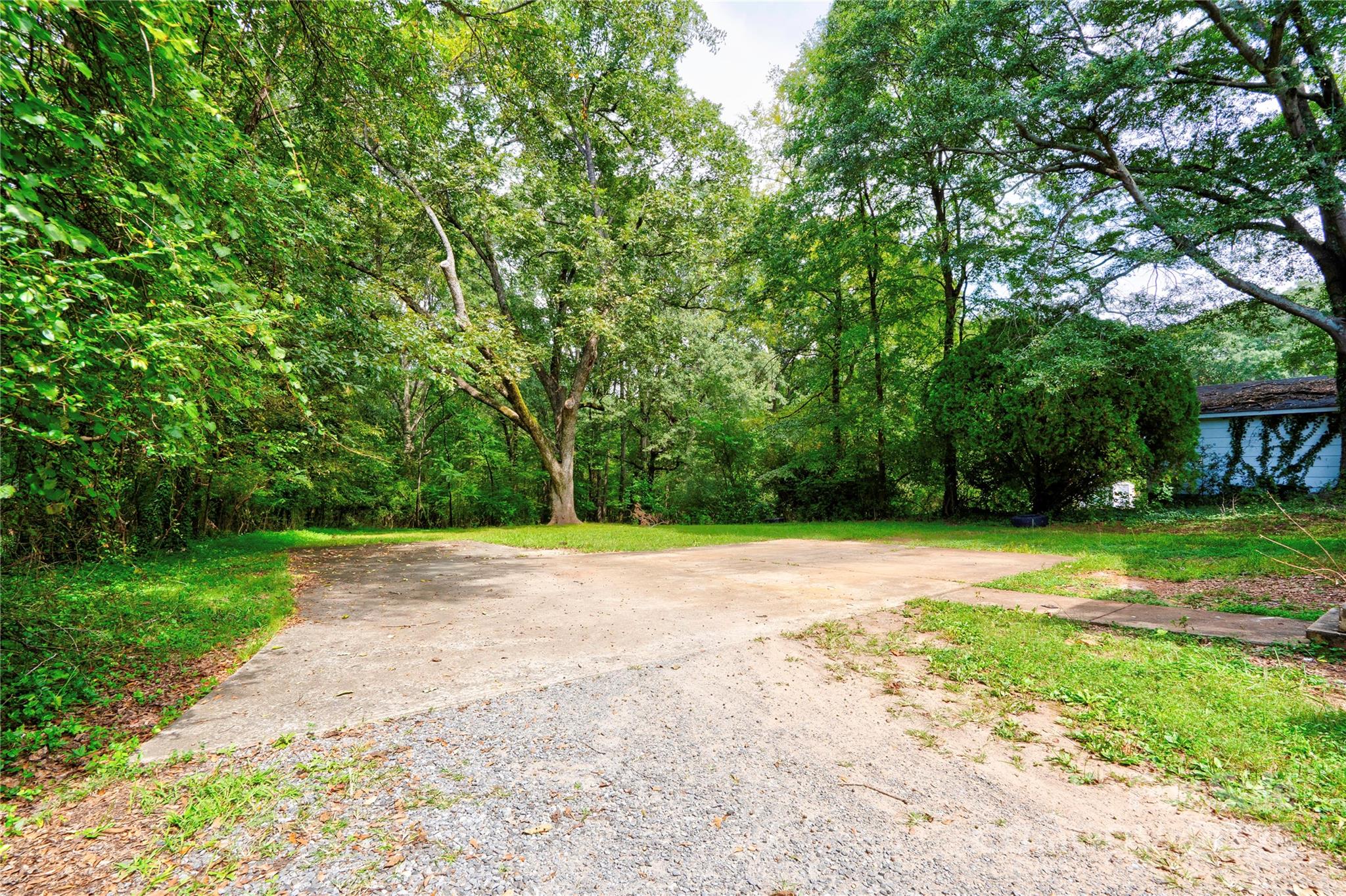 1521 Kings Road Shelby, NC 28150 - Photo 38 of 38 a view of a yard with plants and large trees