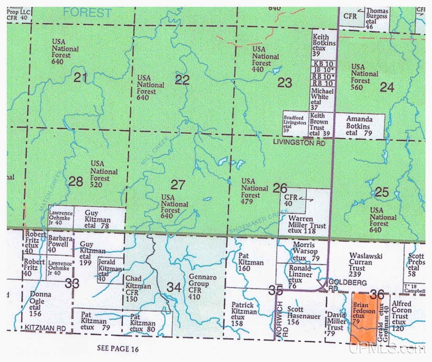 Tbd Tbd Goldberg Road Ewen, MI 49925 - Photo 6 of 6