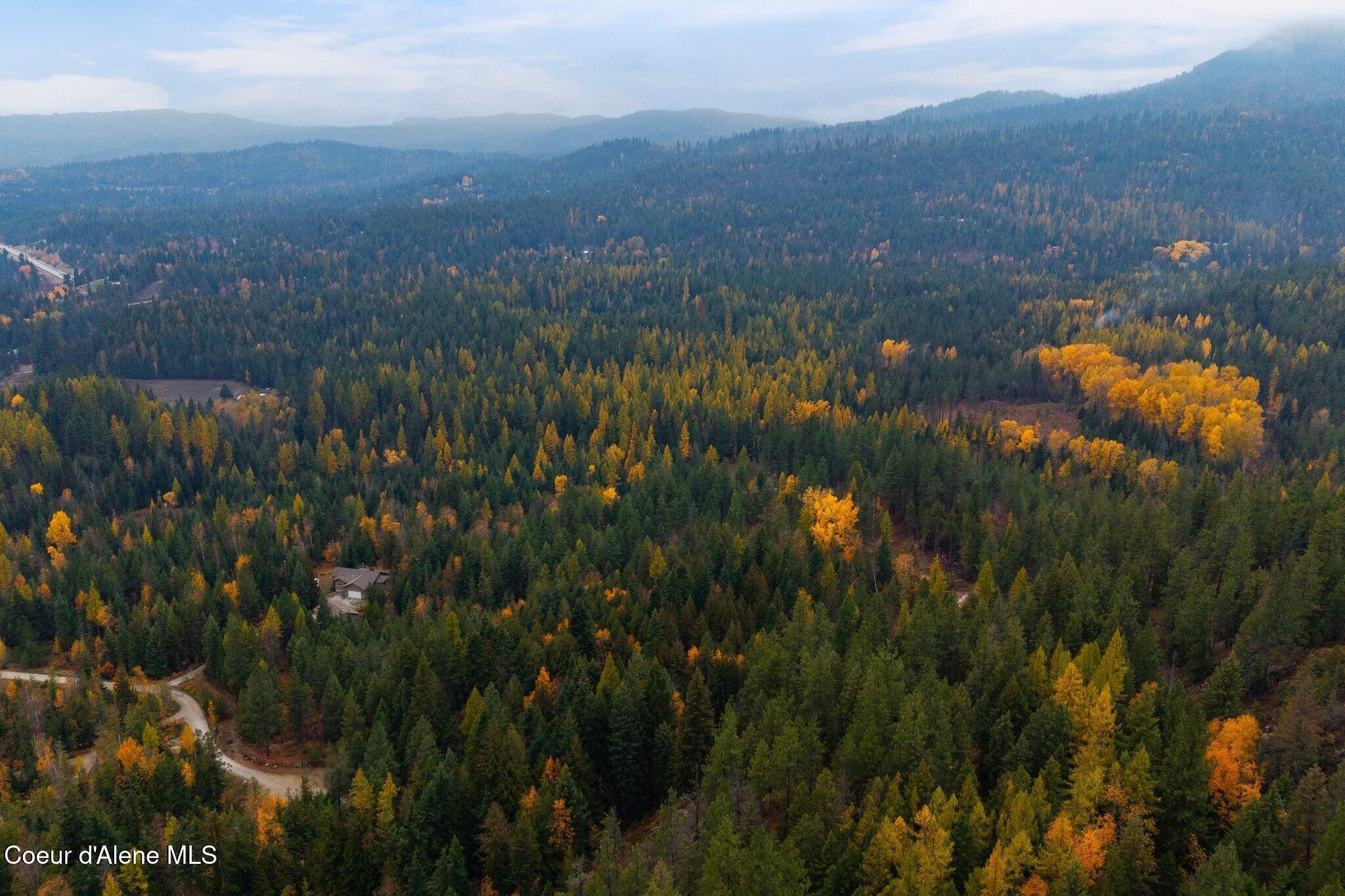 Rogers Road Sandpoint, ID 83864 - Photo 29 of 37 Breathtaking Fall Colors