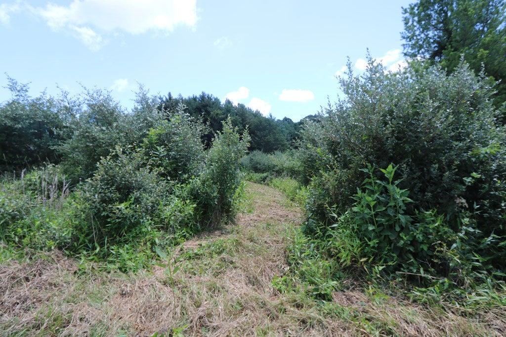 Tbd Southwest Tbd Sw Black Ridge Road Floyd, VA 24091 - Photo 17 of 22 Gallery Image 17