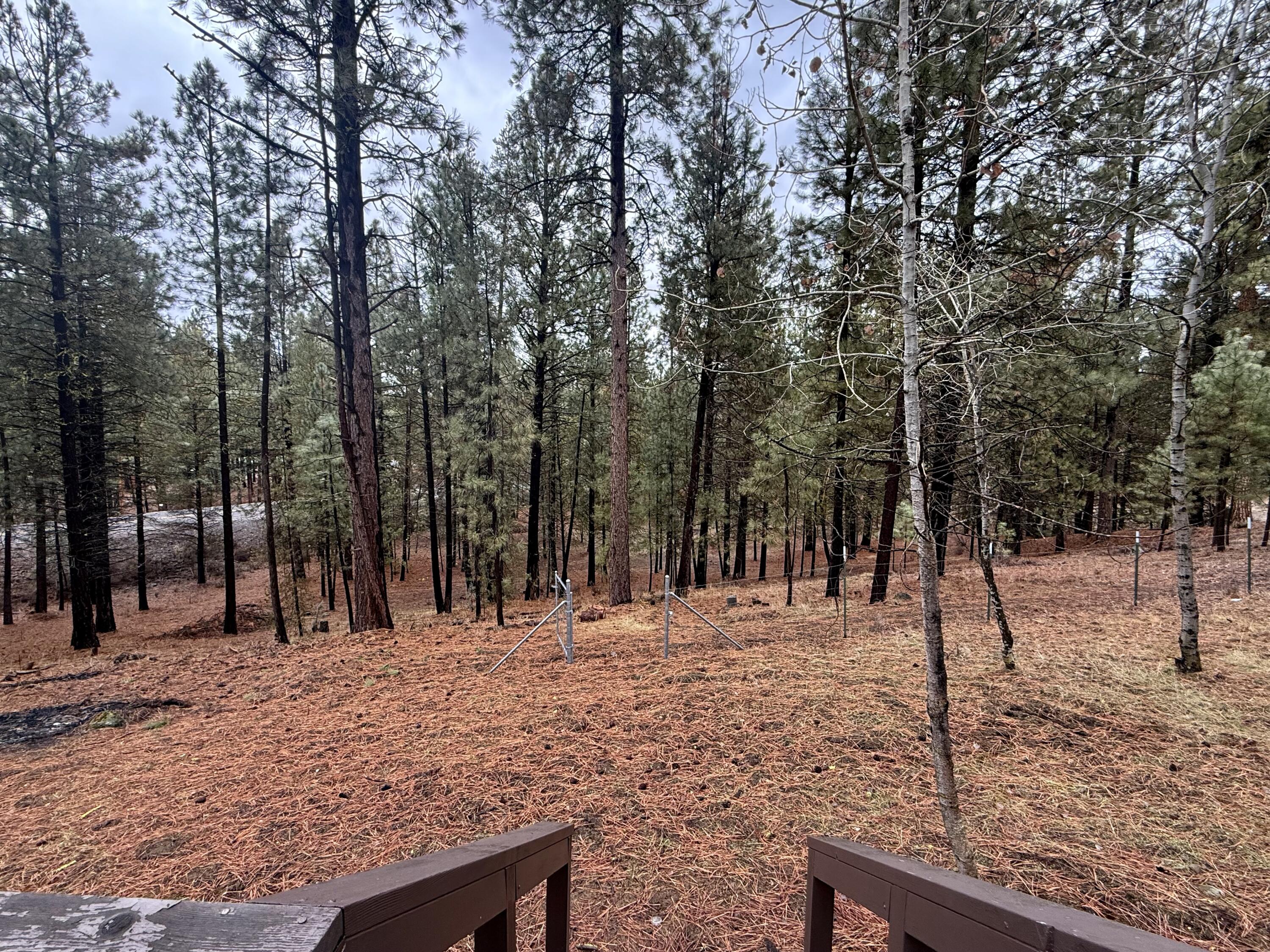 38965 Chiloquin Ridge Road Chiloquin, OR 97624 - Photo 11 of 59 VIEW