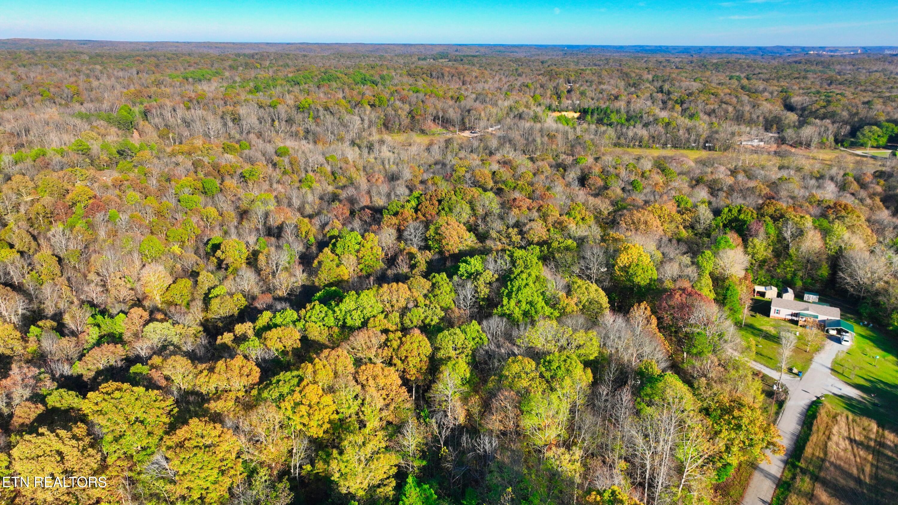 0 George Street Camden, TN 38320 - Photo 11 of 20 DJI_0340