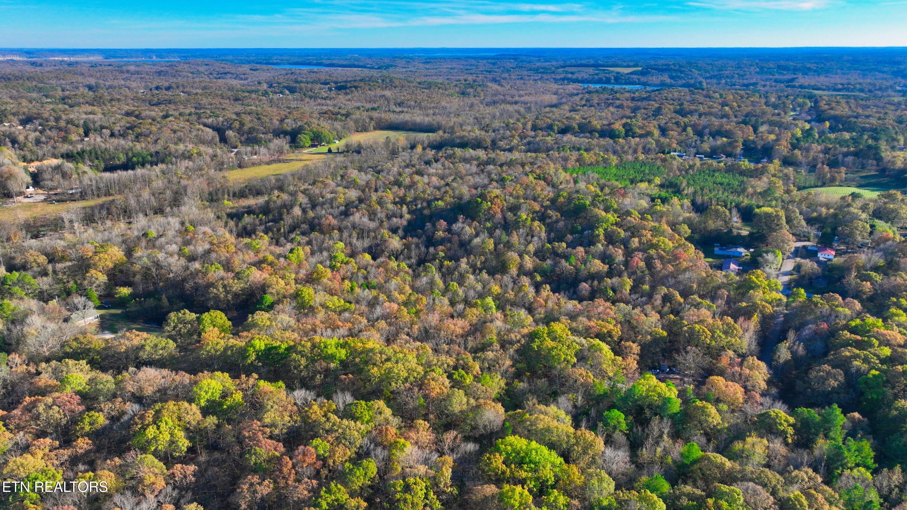 0 George Street Camden, TN 38320 - Photo 14 of 20 DJI_0323