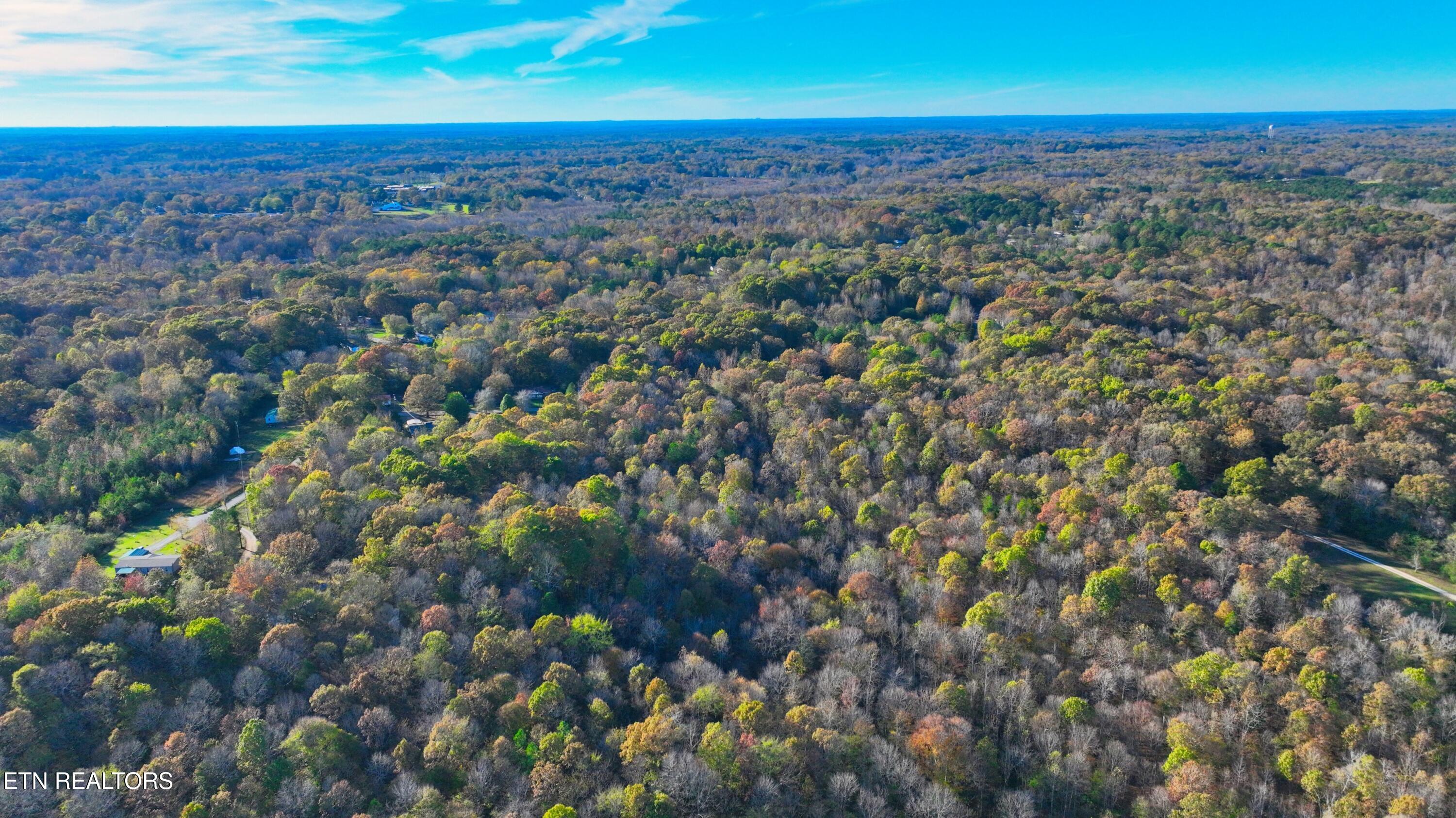0 George Street Camden, TN 38320 - Photo 15 of 20 DJI_0318