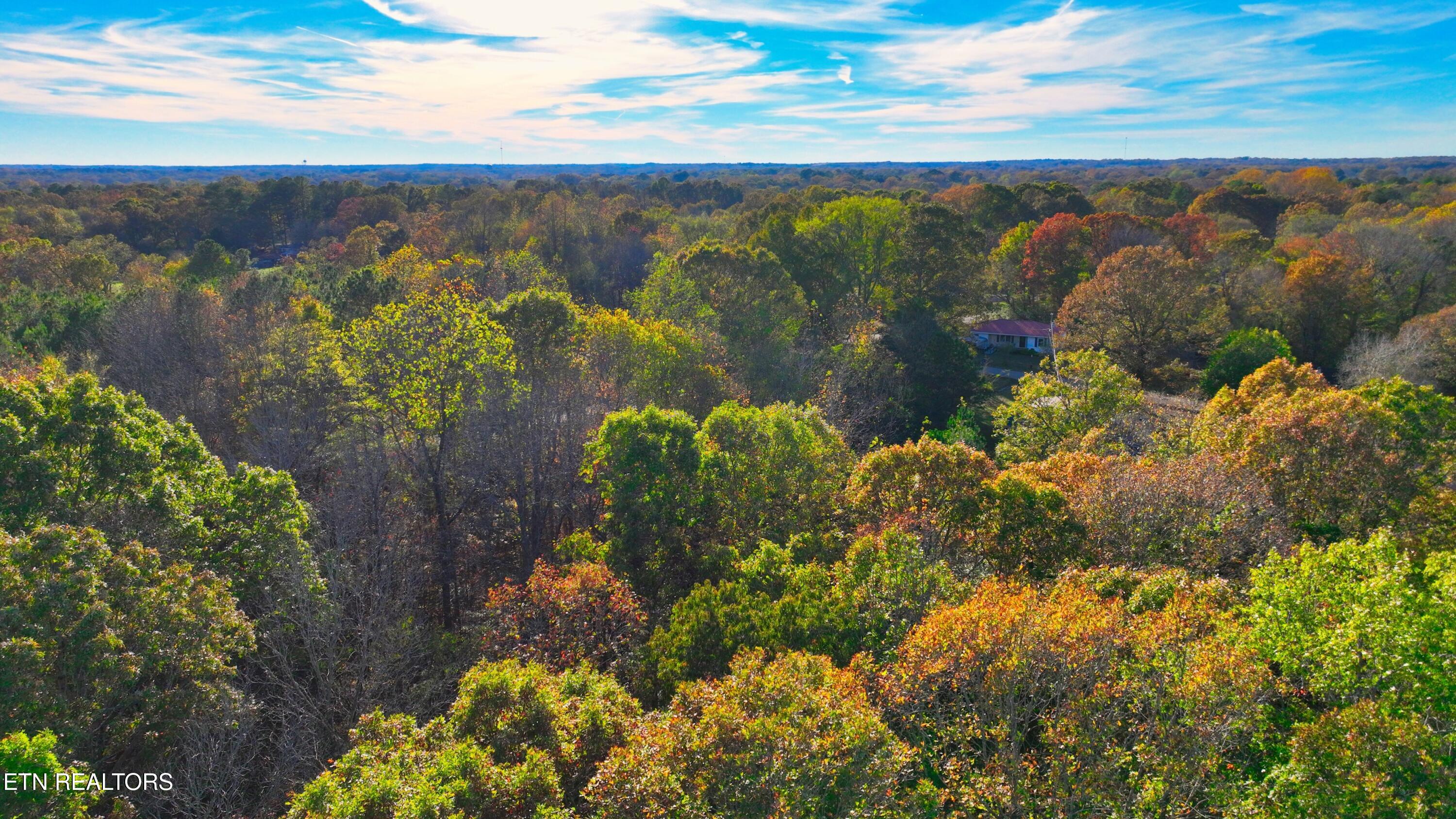0 George Street Camden, TN 38320 - Photo 16 of 20 DJI_0349