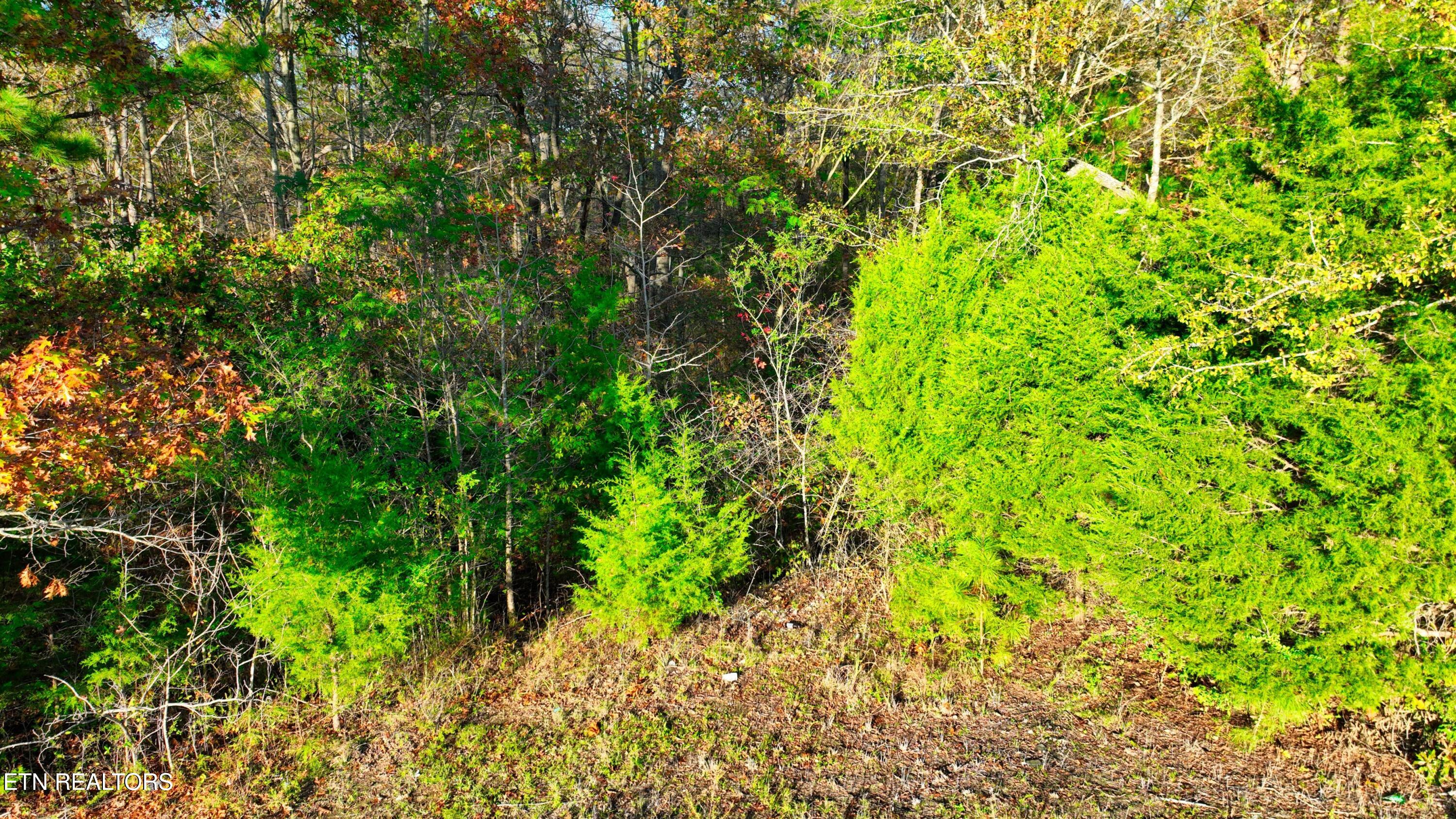 0 George Street Camden, TN 38320 - Photo 17 of 20 DJI_0359