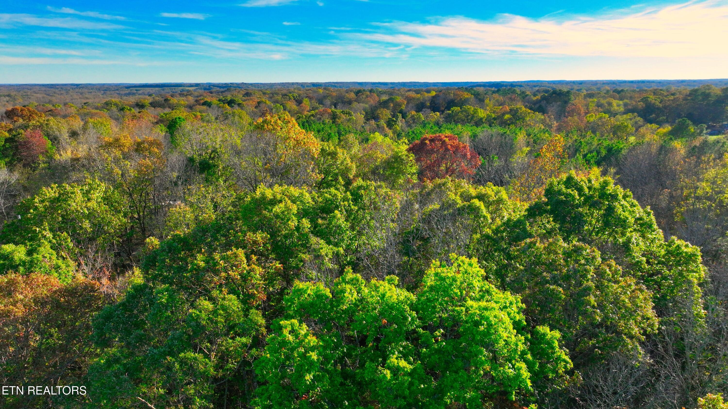 0 George Street Camden, TN 38320 - Photo 20 of 20 DJI_0348