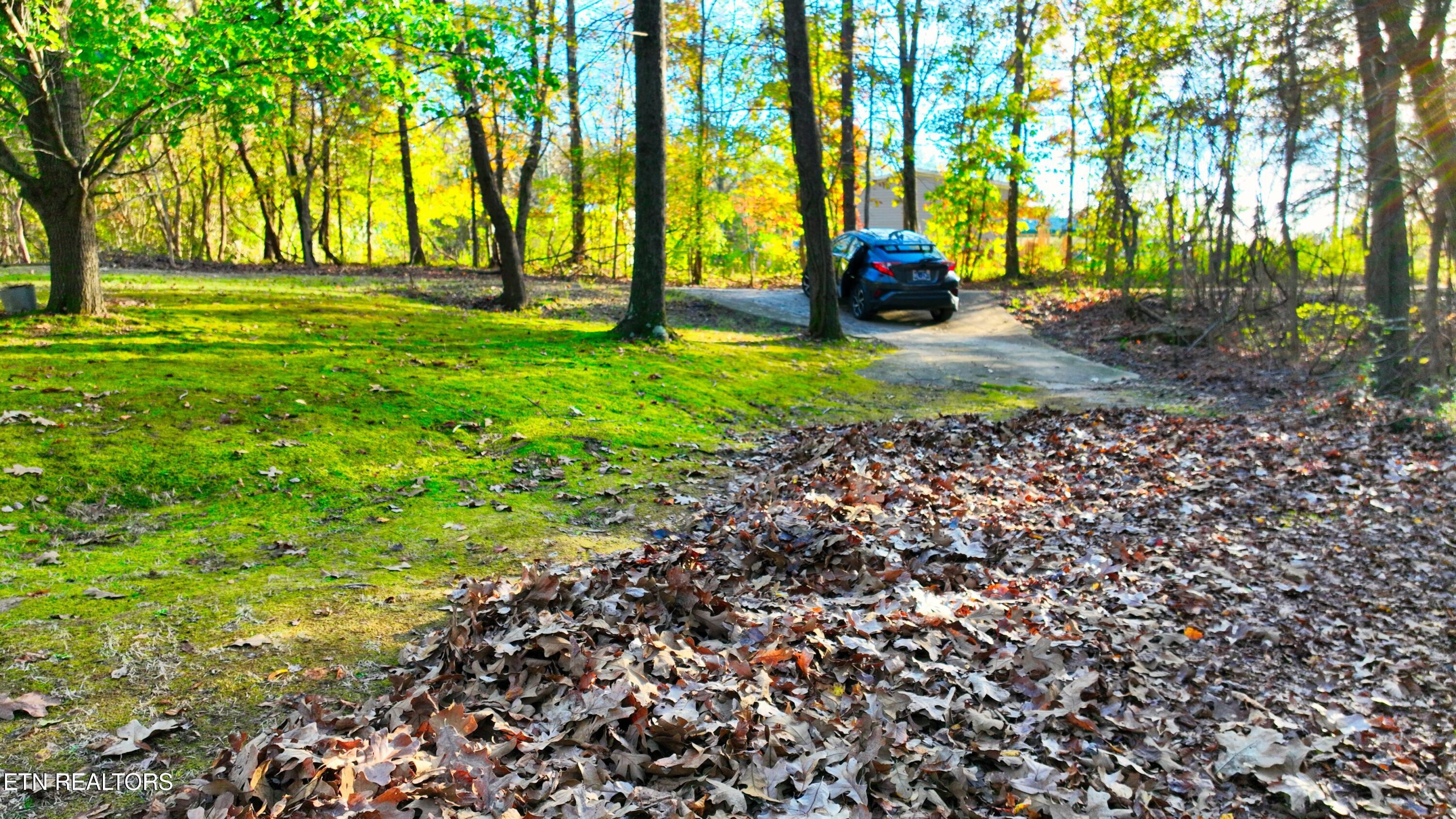 0 George Street Camden, TN 38320 - Photo 4 of 20 DJI_0375