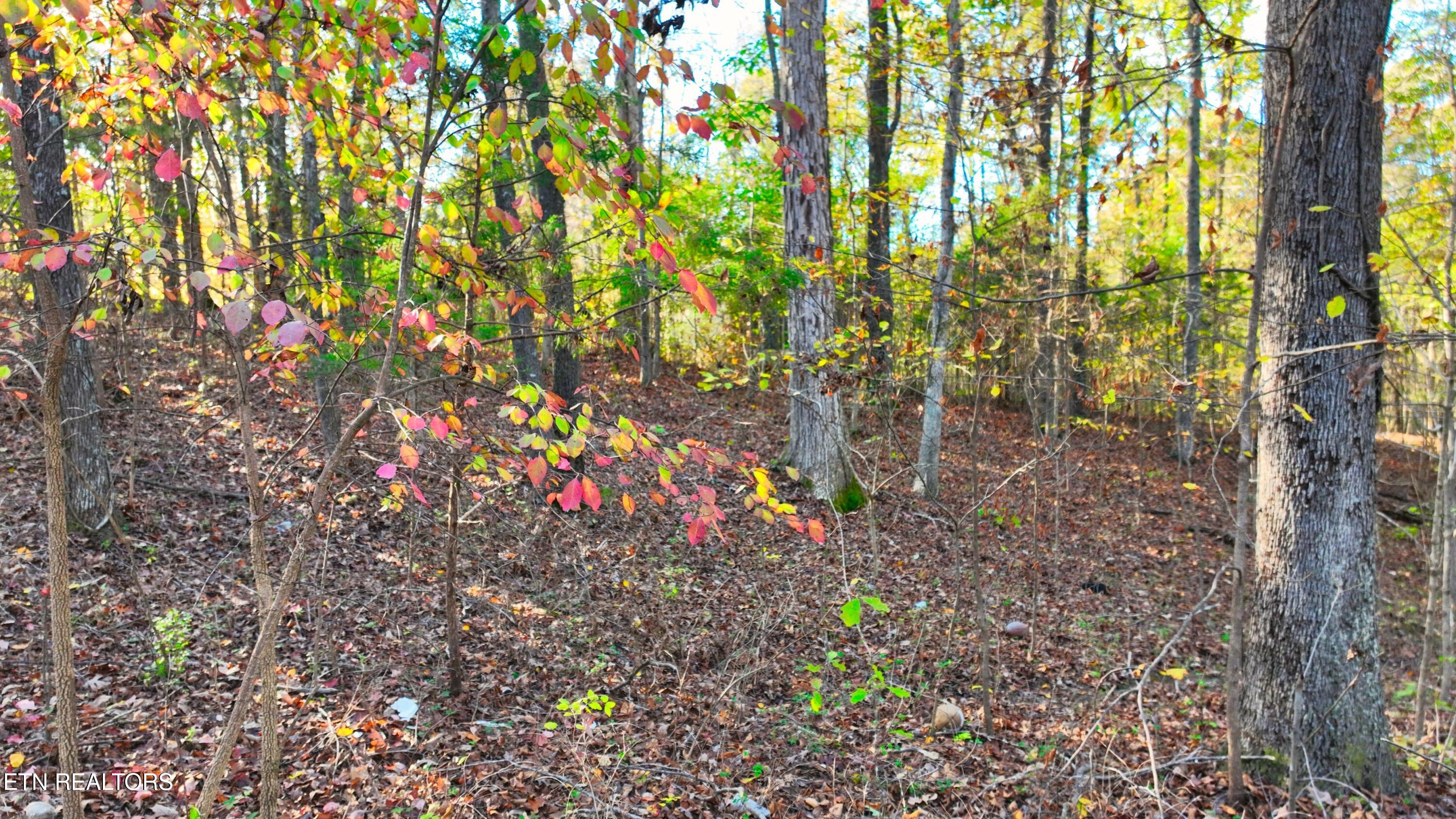 0 George Street Camden, TN 38320 - Photo 6 of 20 DJI_0364