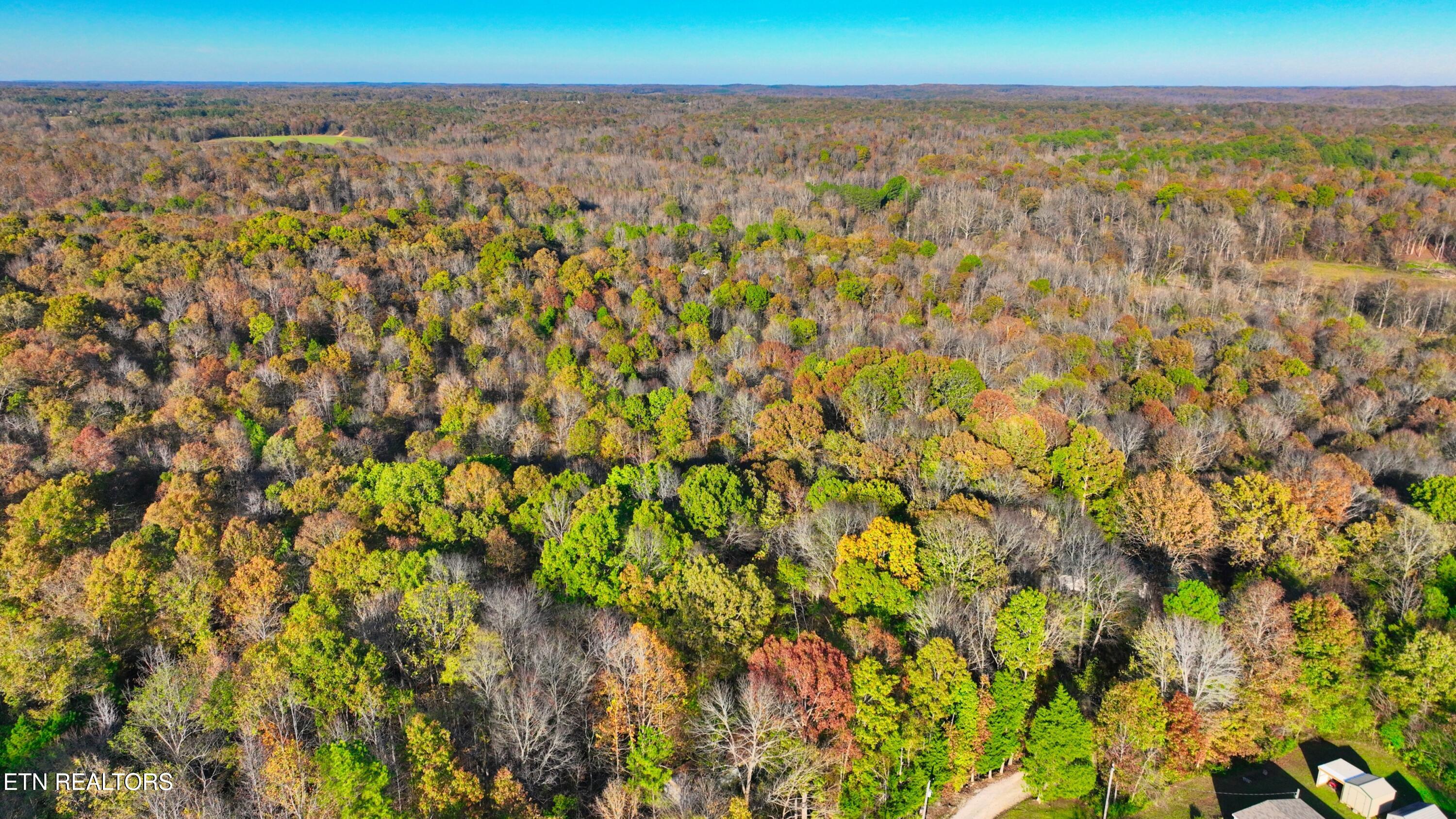 0 George Street Camden, TN 38320 - Photo 10 of 20 DJI_0341