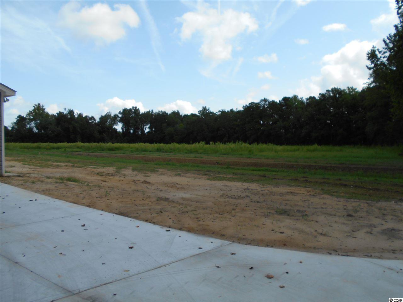 7059 Oak Grove Road Conway, SC 29527 - Photo 11 of 25 Gallery Image 11