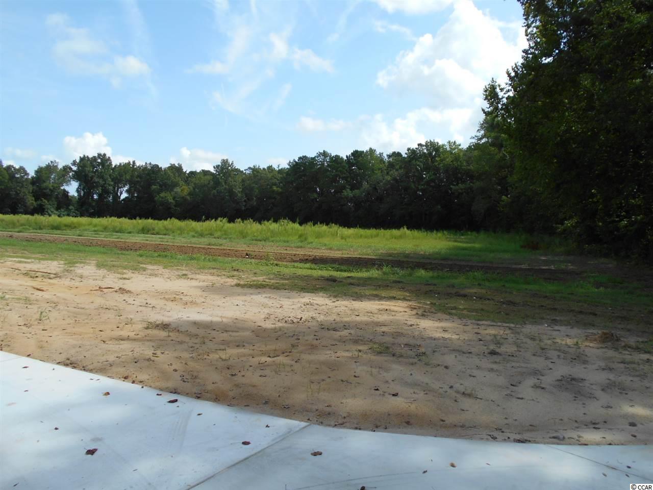 7059 Oak Grove Road Conway, SC 29527 - Photo 10 of 25 Gallery Image 10
