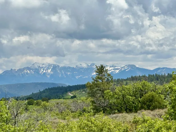 $174,000 | 9 North Gurley Reserve, Norwood, CO 81423