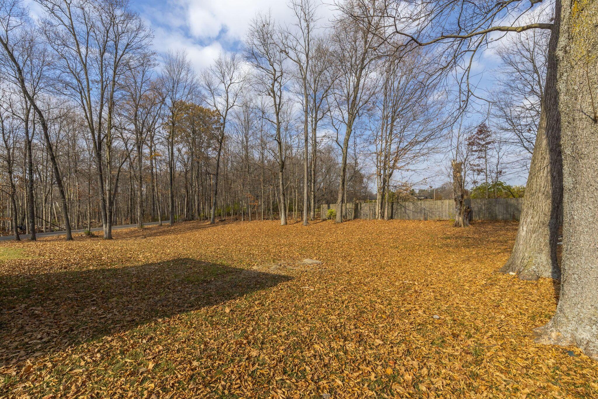 996 River Road Ostrander, OH 43061 - Photo 9 of 43 10-web-or-mls-2023-11-8 996 River Rd 023