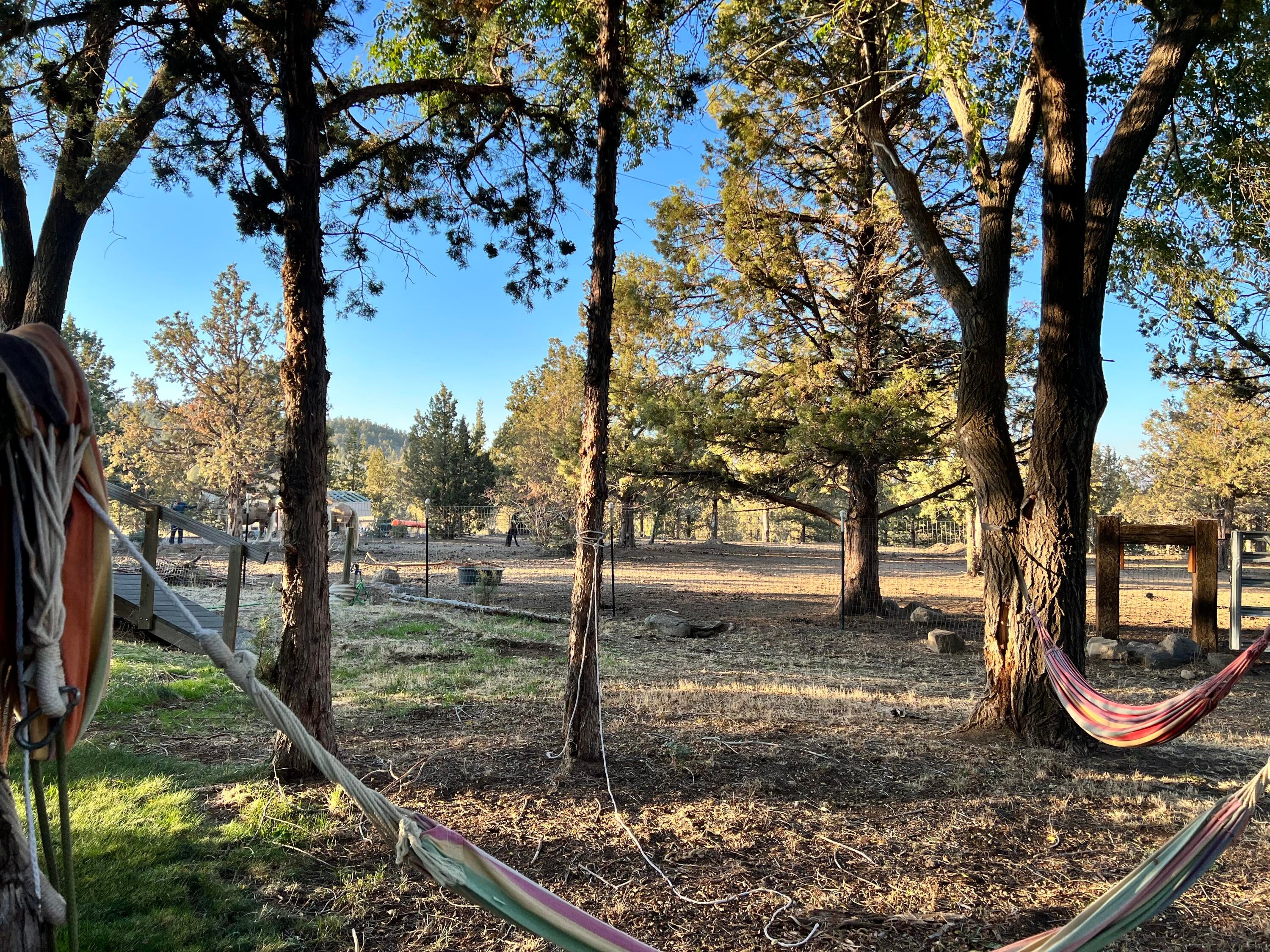 64570 Research Road Bend, OR 97703 - Photo 37 of 60 Hammocks & Horses