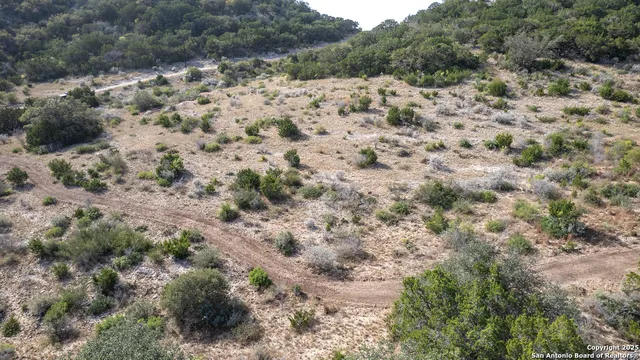 a view of a large forest with lots of trees
