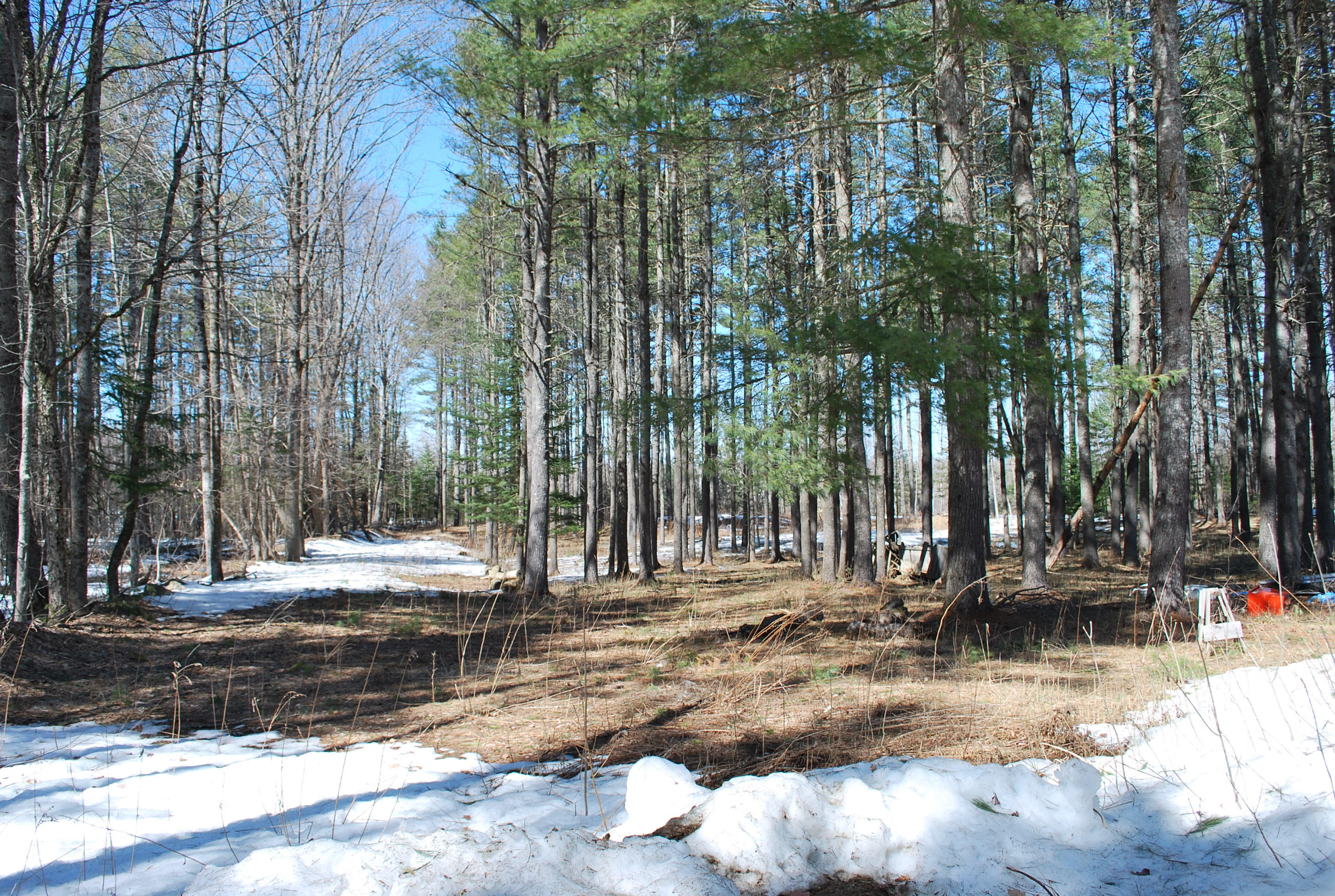 150 Athens Road Harmony, ME 04942 - Photo 14 of 50 150 Athens Road Harmony 016