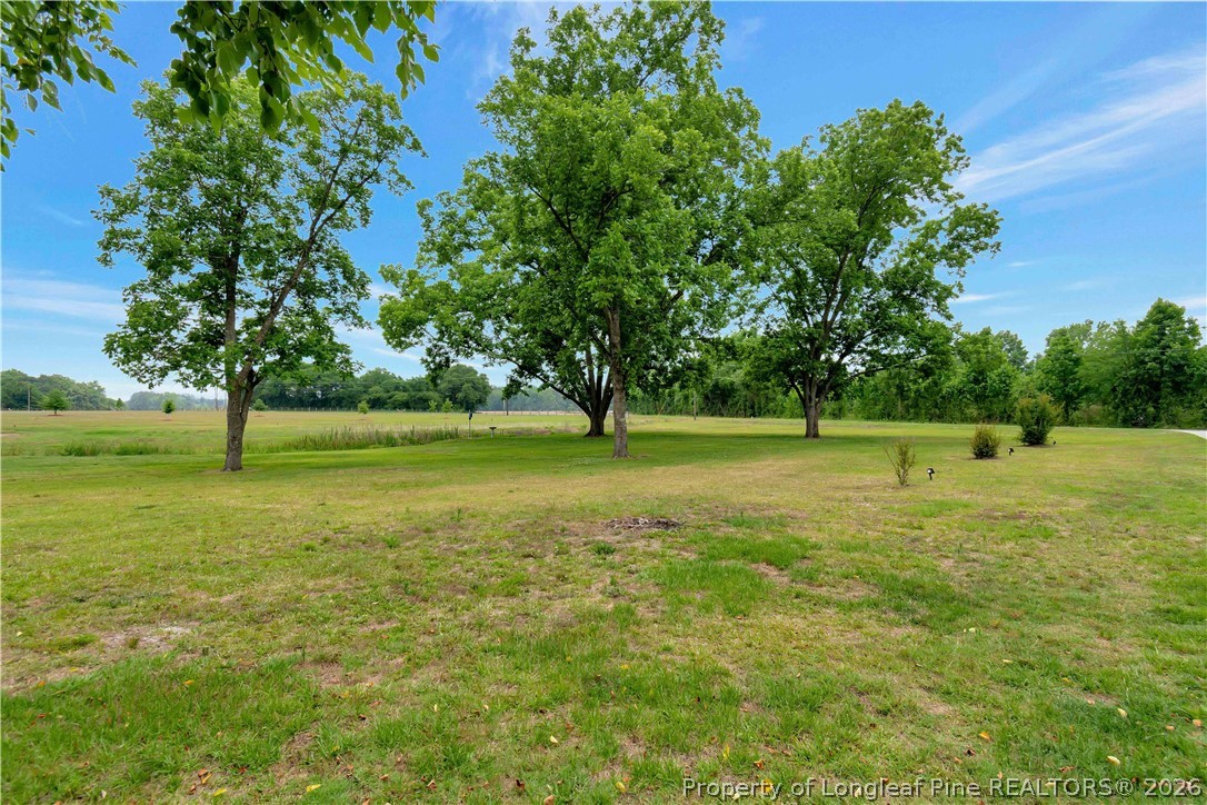 6290 Regan Church Road Lumberton, NC 28358 - Photo 43 of 44