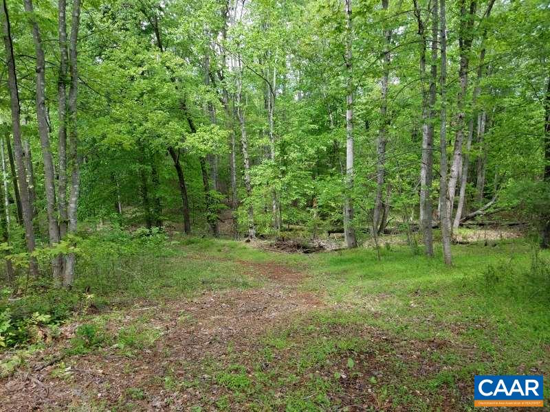 11776 Howardsville Road Howardsville, VA 24562 - Photo 2 of 11 a view of a lush green forest