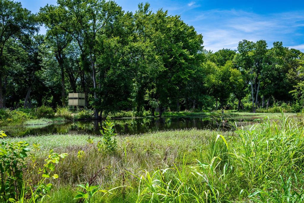 0 Pigg Road Waxahachie, TX 75165 - Photo 11 of 14 a view of garden with trees