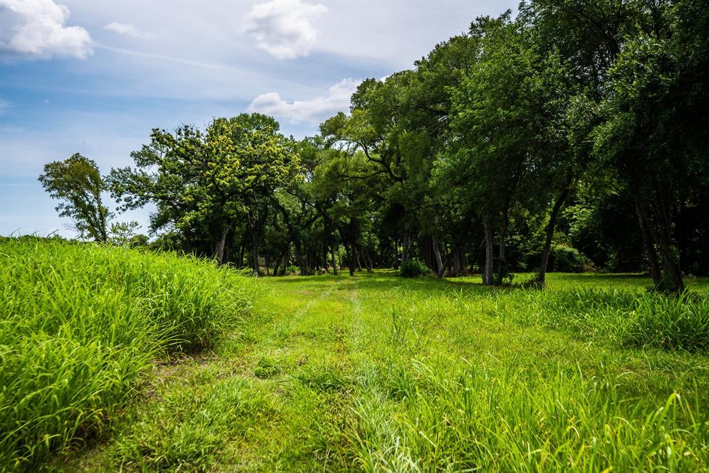 0 Pigg Road Waxahachie, TX 75165 - Photo 12 of 14 a view of backyard with green space