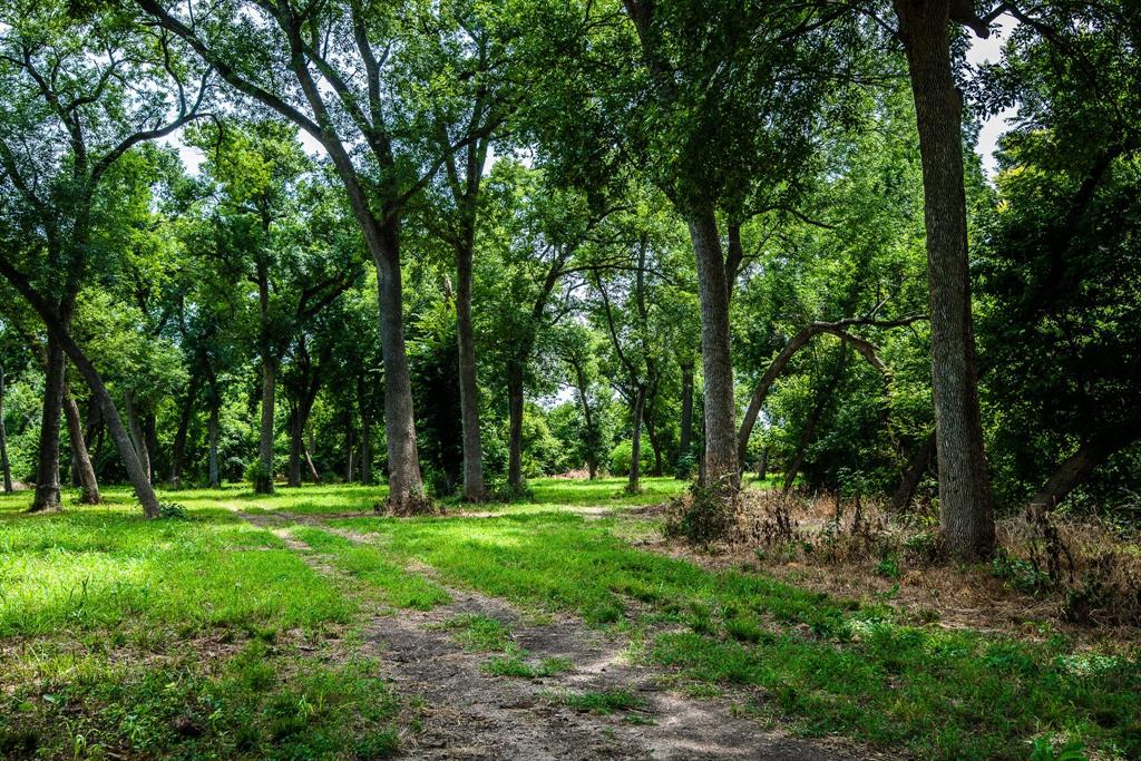 0 Pigg Road Waxahachie, TX 75165 - Photo 13 of 14 a view of outdoor space with a garden