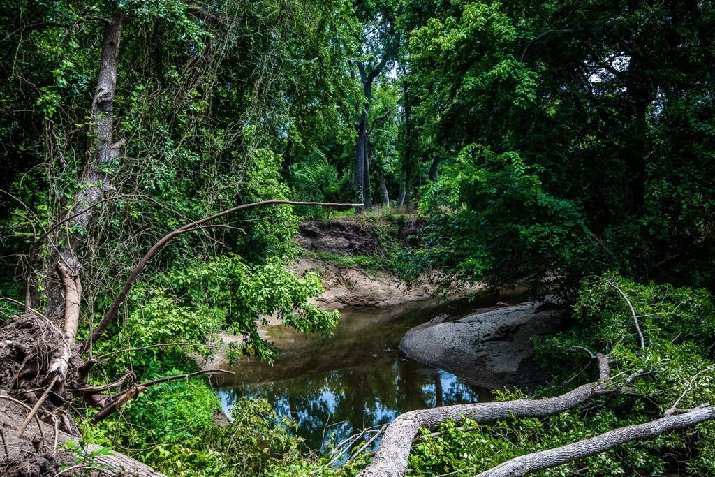 0 Pigg Road Waxahachie, TX 75165 - Photo 7 of 14 a view of a park with large trees