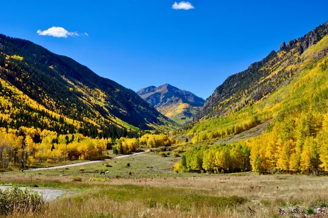a view of an outdoor space