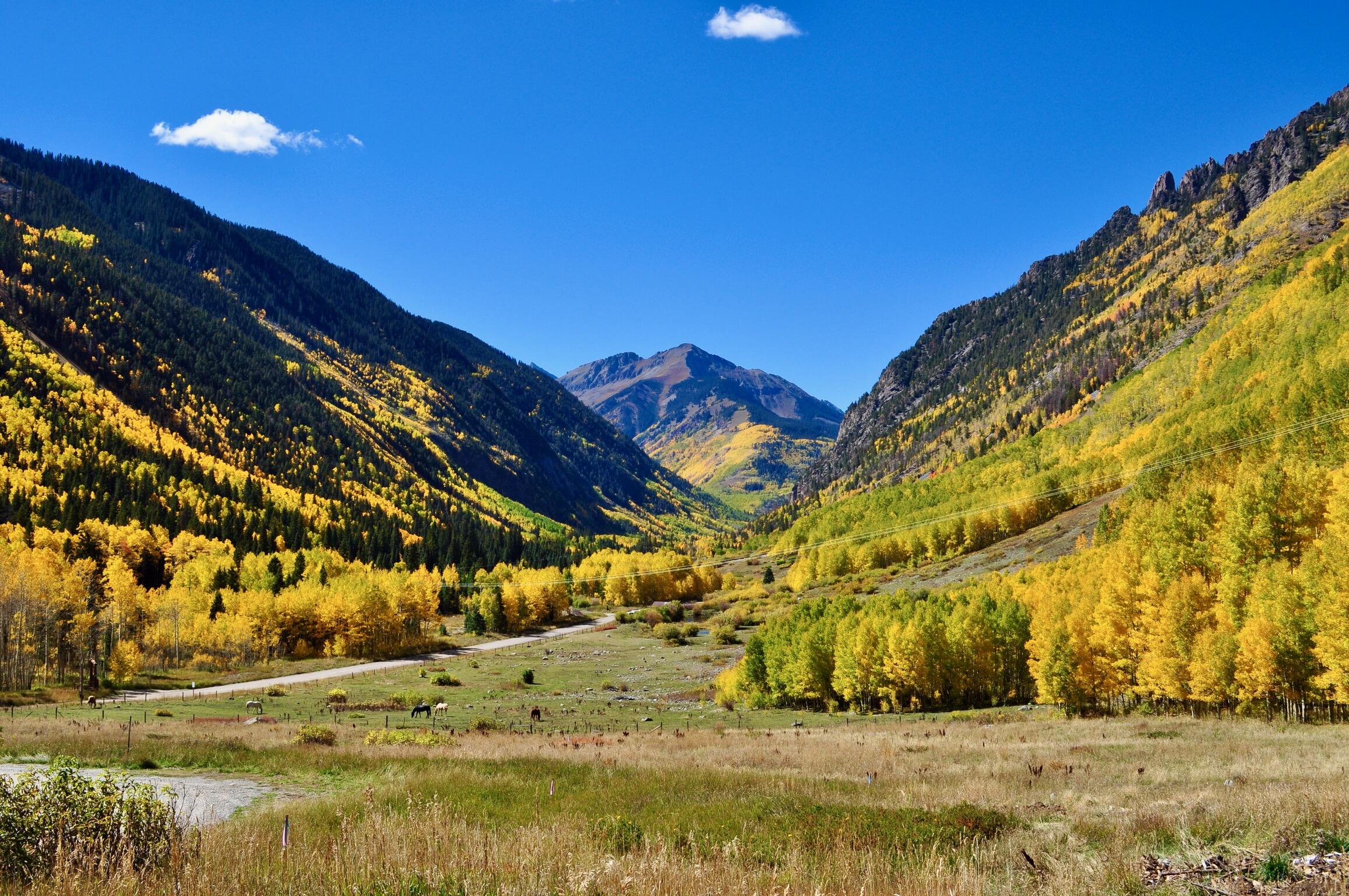 a view of an outdoor space