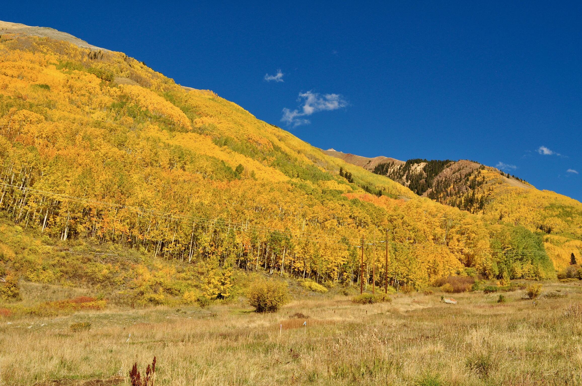 Tbd Aurum Street Ophir, CO 81426 - Photo 4 of 10 View
