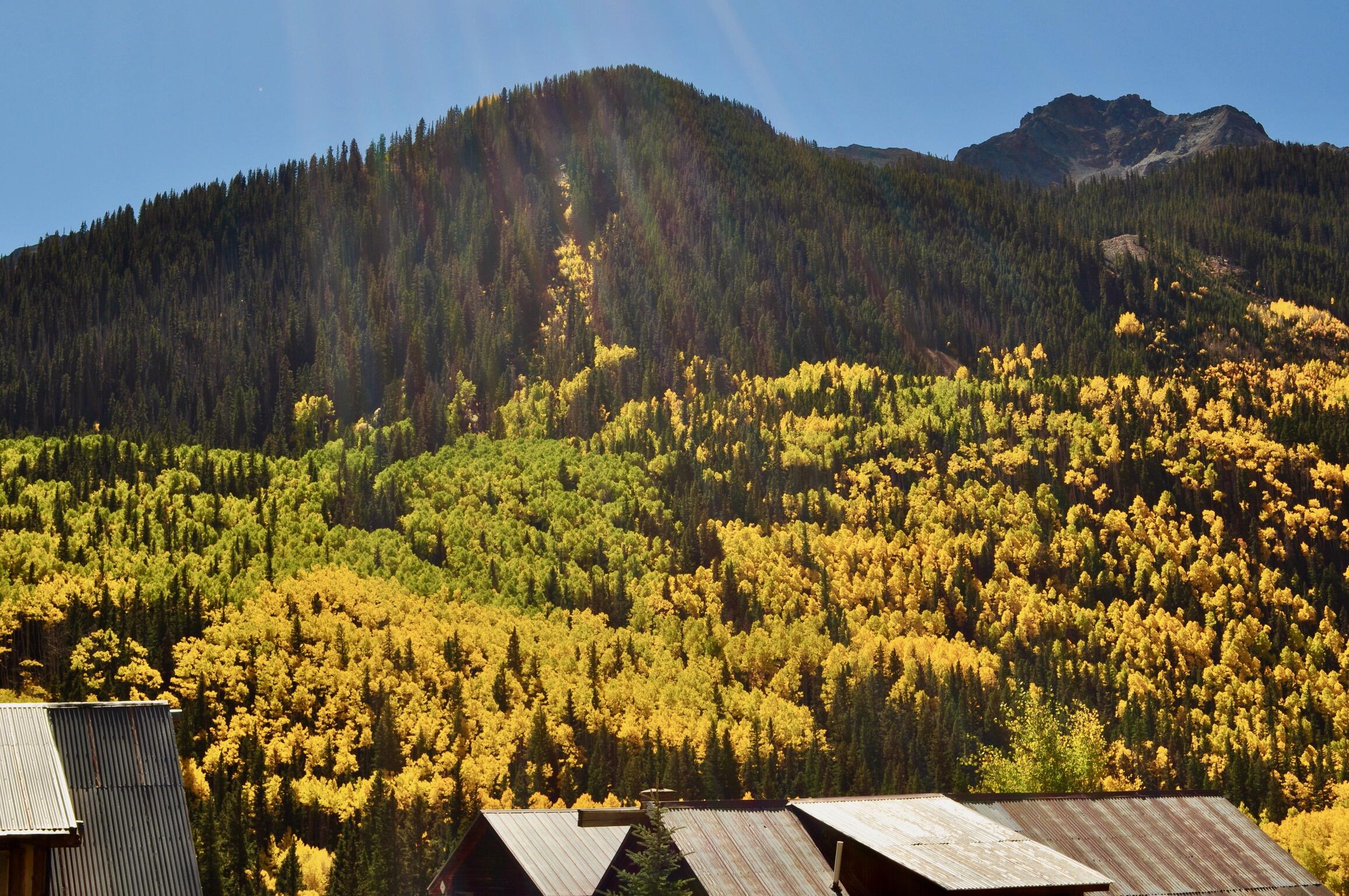 Tbd Aurum Street Ophir, CO 81426 - Photo 5 of 10 View