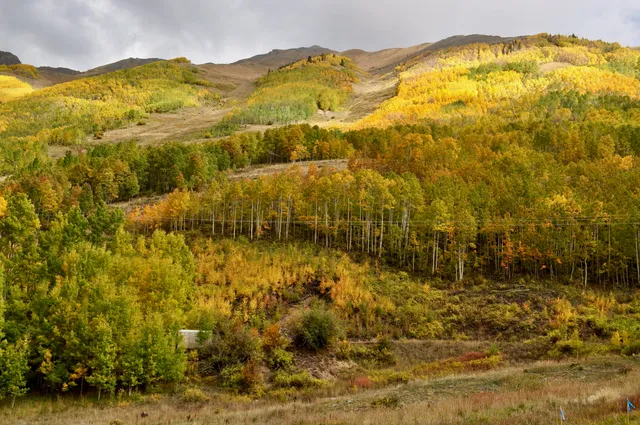 a view of outdoor space and shower