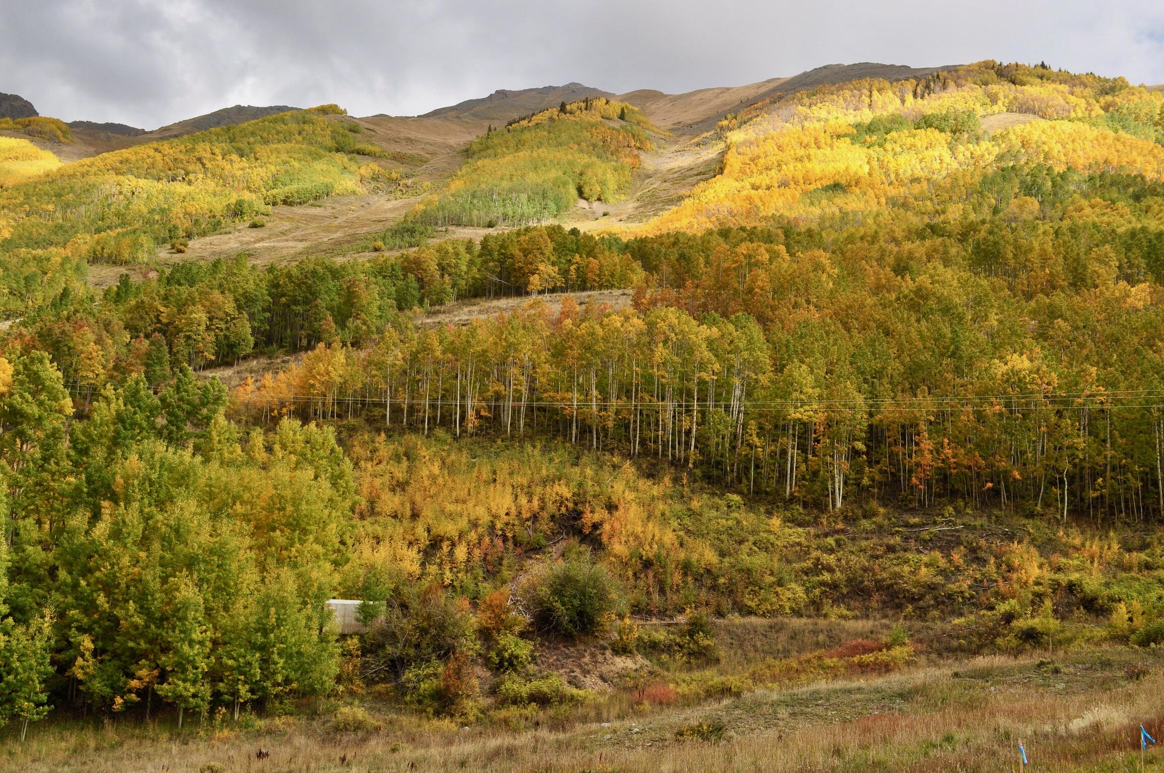 Tbd Aurum Street Ophir, CO 81426 - Photo 7 of 10 View