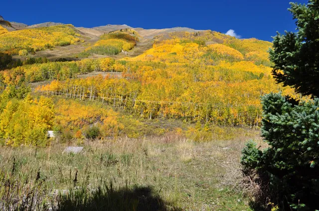 $349,000 | Tbd Aurum Street, Ophir, CO 81426