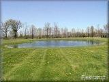 14915 Terry Road Allenton, MI 48002 - Photo 5 of 24 3/4 acre Pond