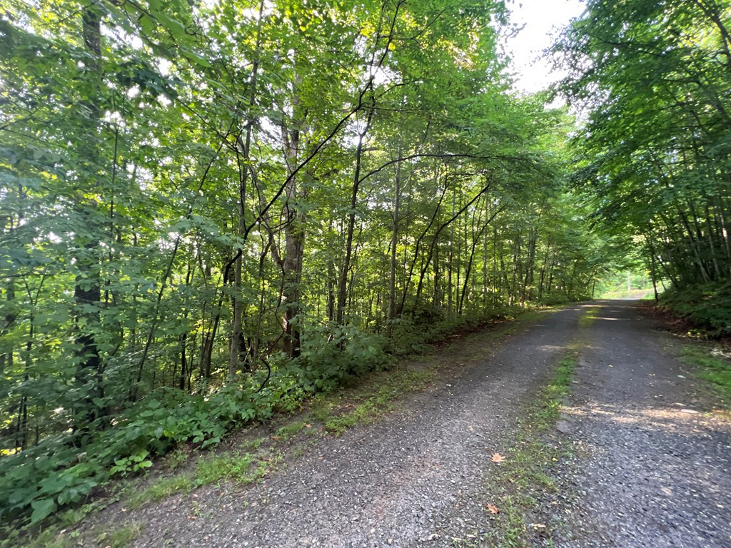 0 Laurel Drive Marble, NC 28905 - Photo 19 of 42